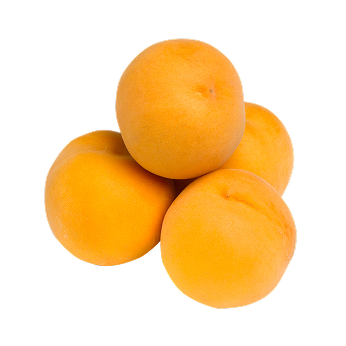 Préssec
